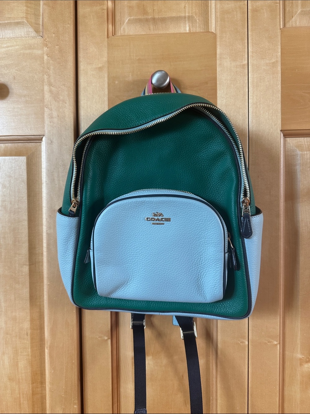 Coach Green and Light Blue Pebble Leather Backpack